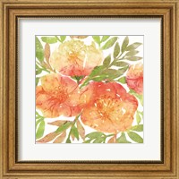 Framed Peachy Floral III