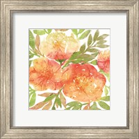 Framed 'Peachy Floral III' border=
