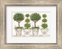 Framed Topiary Still Life