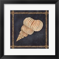 Framed Seashell on Navy III