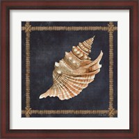 Framed Seashell on Navy V