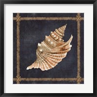 Framed Seashell on Navy V