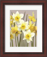 Framed Spring Daffodils