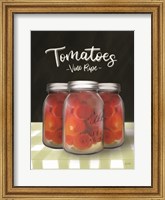 Framed Farm Fresh Tomatoes