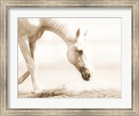 Framed Trail Horse Sepia