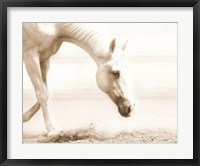Framed Trail Horse Sepia