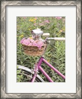 Framed Pink Garden Bike