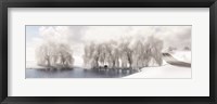 Framed Winter Willow