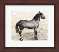 Framed Horse Study 1