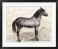 Framed Horse Study 1