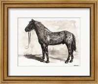 Framed Horse Study 2