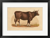 Framed Cow