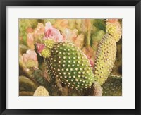 Framed Cactus Flowers