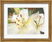 Framed Macro Lilies