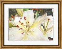 Framed Macro Lilies