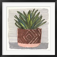 Framed Potted Agave II