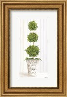 Framed Magnificent Topiary I