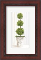 Framed Magnificent Topiary I