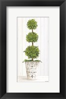 Framed Magnificent Topiary I