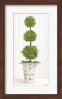 Framed Magnificent Topiary I