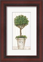 Framed Magnificent Topiary II