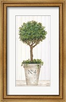 Framed Magnificent Topiary II