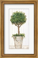 Framed Magnificent Topiary III