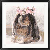 Framed Bunny Olivia