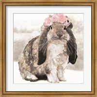 Framed Bunny Simone