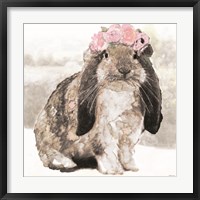 Framed Bunny Simone