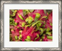 Framed Dragon fruit