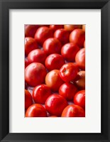 Framed Farmers Market in Autumn