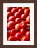 Framed Farmers Market in Autumn