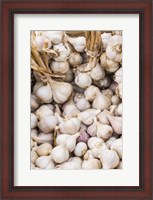 Framed Farmers Market - Garlic