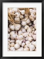 Framed Farmers Market - Garlic