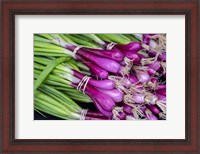 Framed Purple Scallions