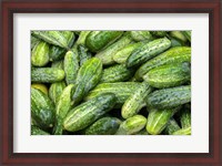 Framed Cucumbers