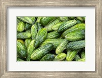 Framed Cucumbers