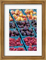 Framed Cherries and Berries