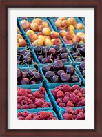 Framed Cherries and Berries
