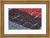 Framed Colorful Berries