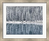 Framed Winter Reflections