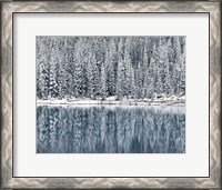 Framed Winter Reflections