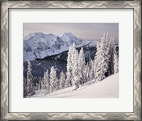 Framed Cariboo Mountains