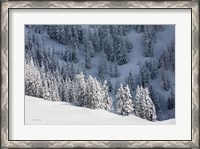 Framed North Cascades in Winter III
