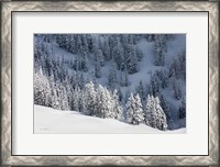 Framed North Cascades in Winter III