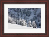 Framed North Cascades in Winter III