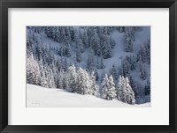 Framed North Cascades in Winter III