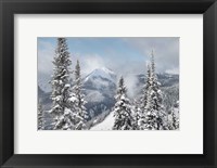 Framed North Cascades in Winter I