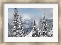 Framed North Cascades in Winter I